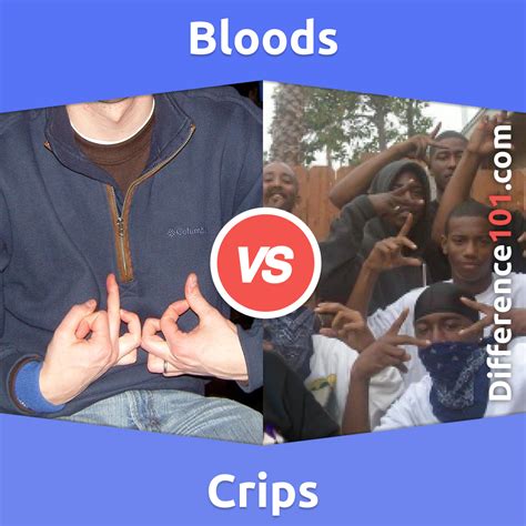 bloods and crips|More.